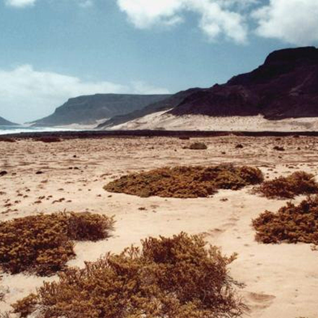 Norte da Baia I