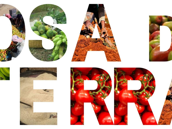 Cosa de Terra - mindelolife.com