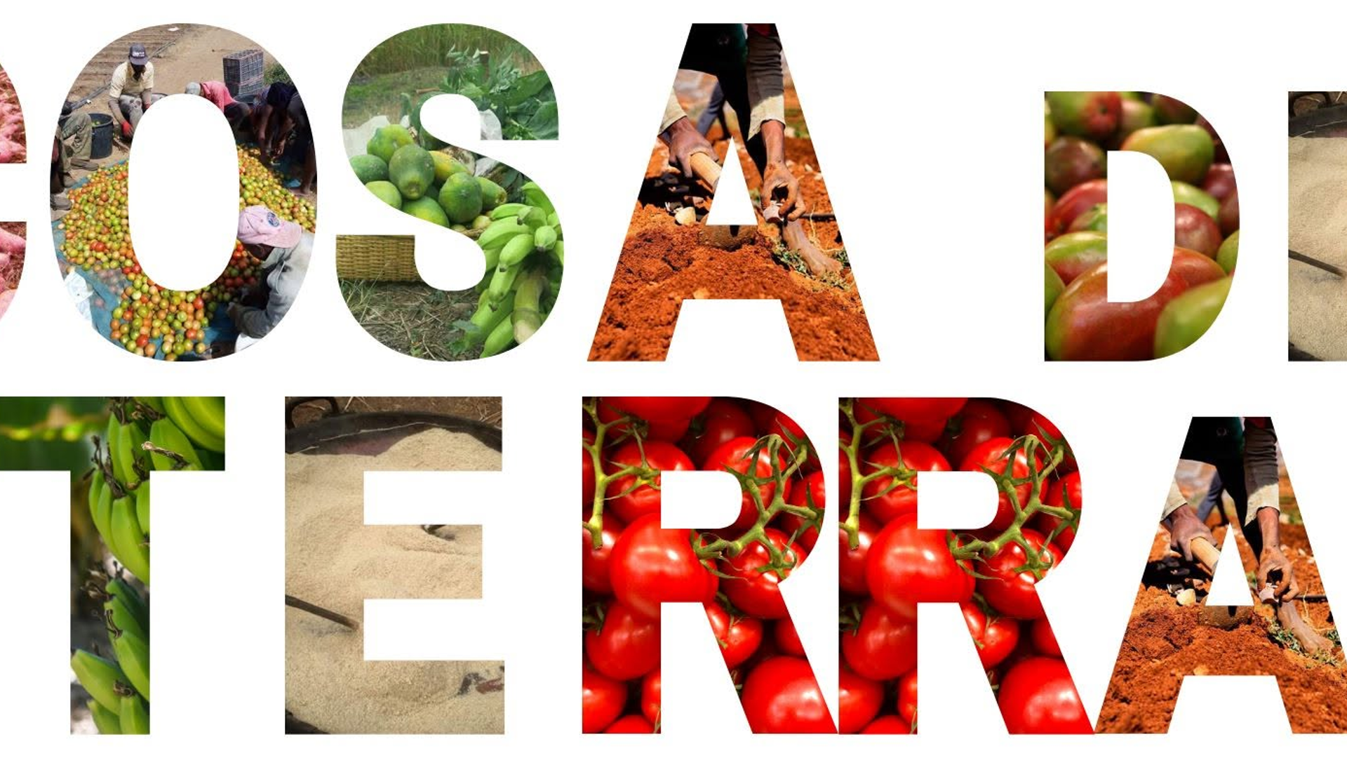 Cosa de Terra - mindelolife.com