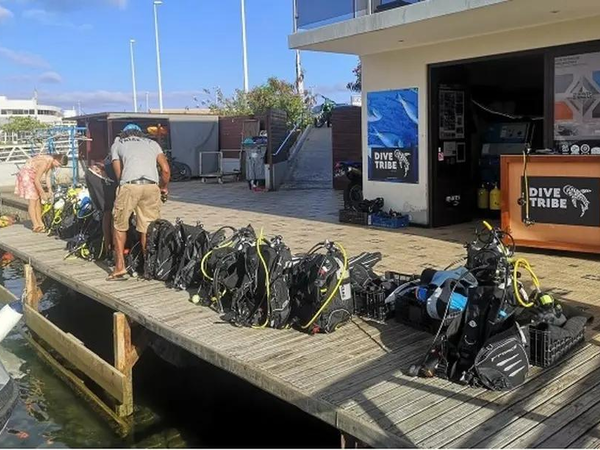 Dive-Tribe São Vicente - mindelolife